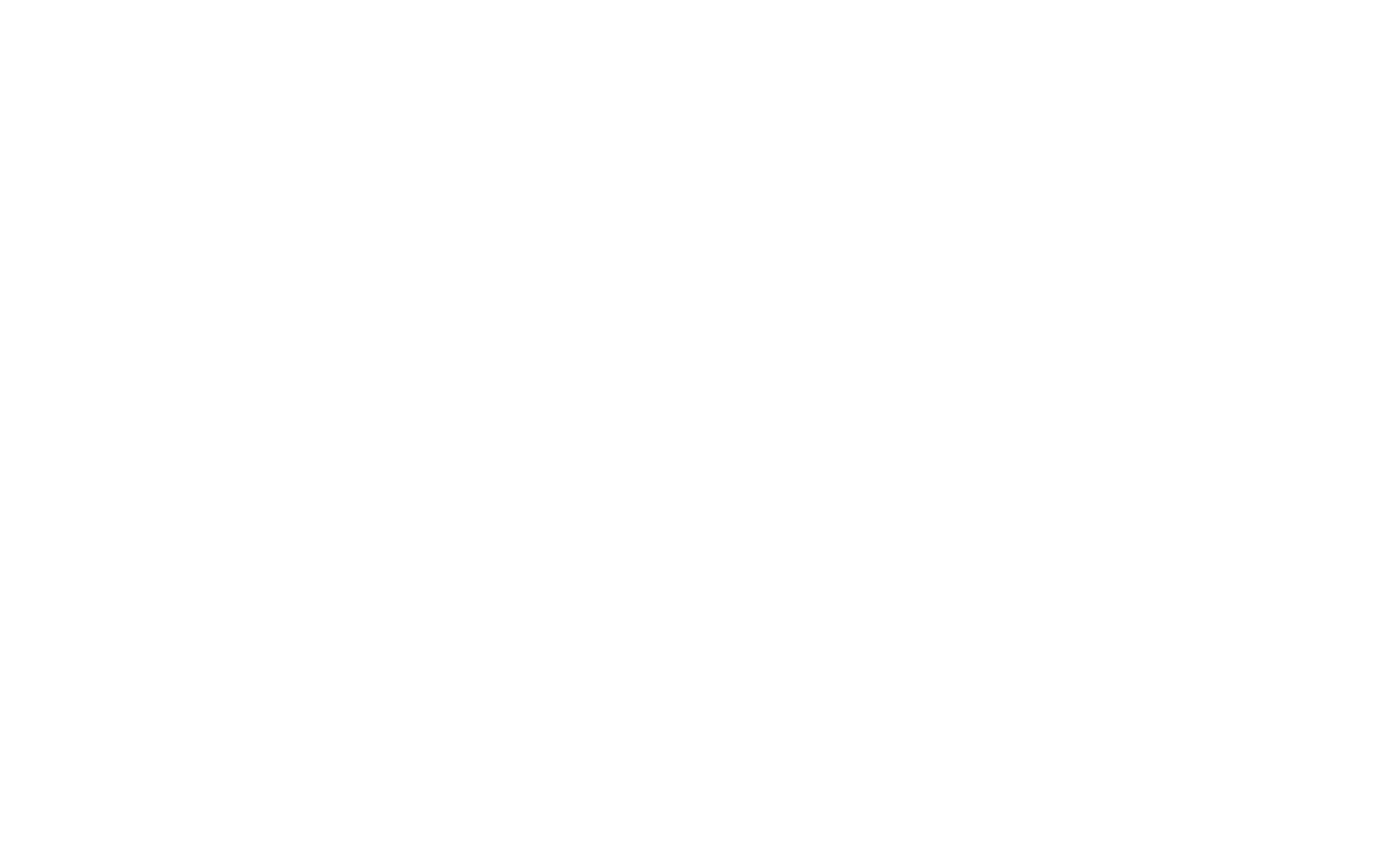 Nextstep Robotics Logo